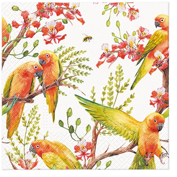 PAW Decor Collection Servietten Lunch 20x Exotic birds, 33x33 cm